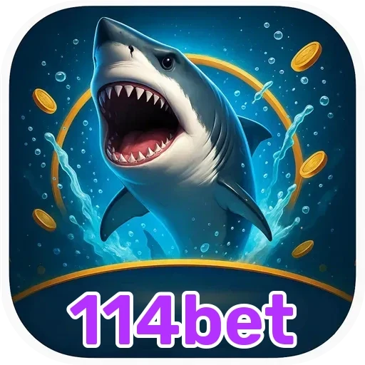 114bet Bônus